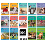 Dandelion World Stages 1-7 (Set of 6)