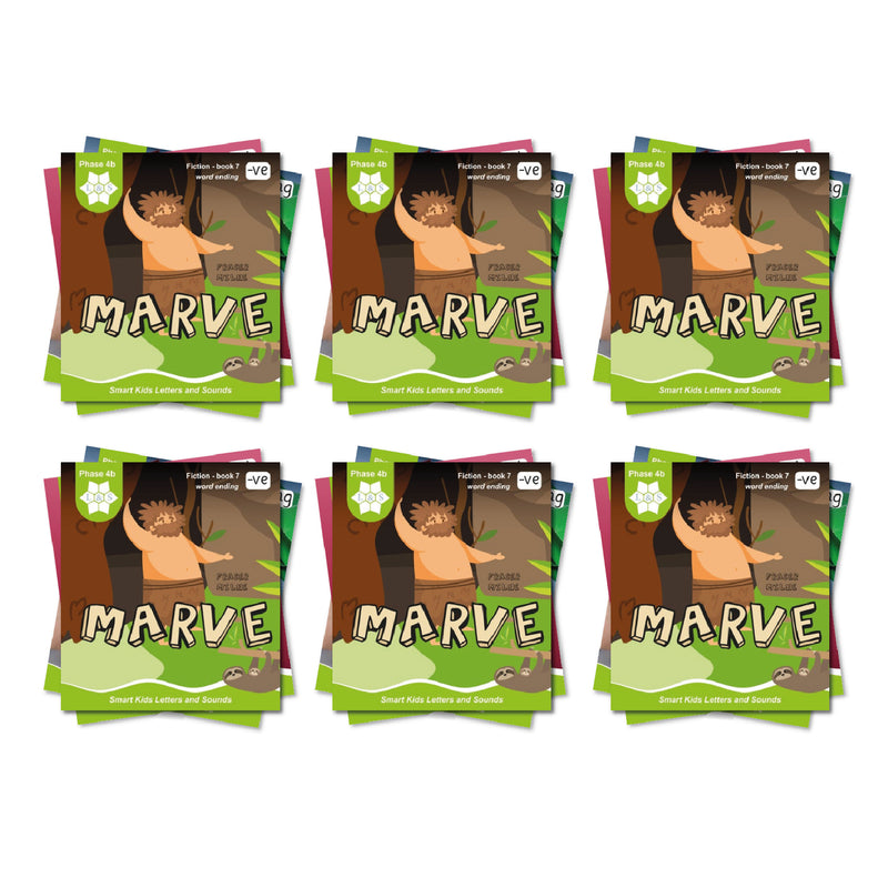 L&S Phase 4b Fiction Decodable Readers (set of 48)
