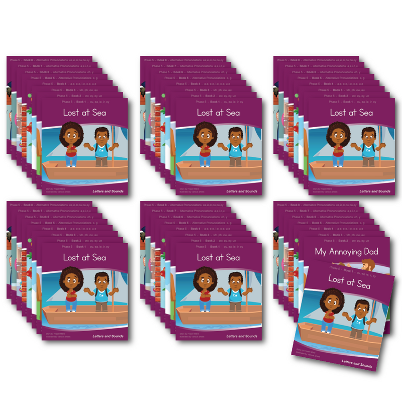 Phase 5 Fiction Decodable Readers - (6 xSets, 48 Books)