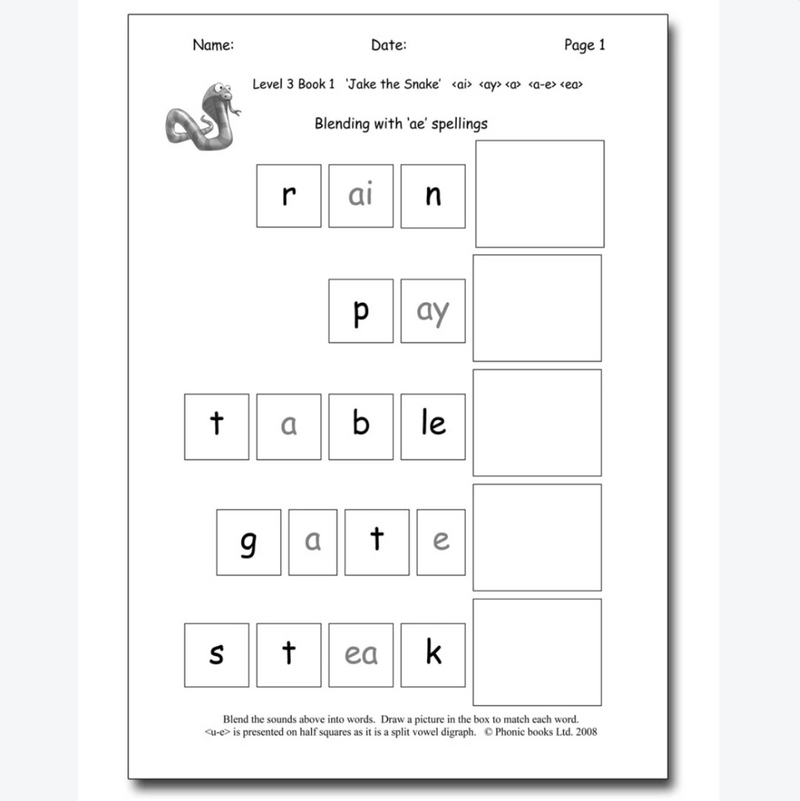 Dandelion Readers, Level 3 Reading & Spelling Activities