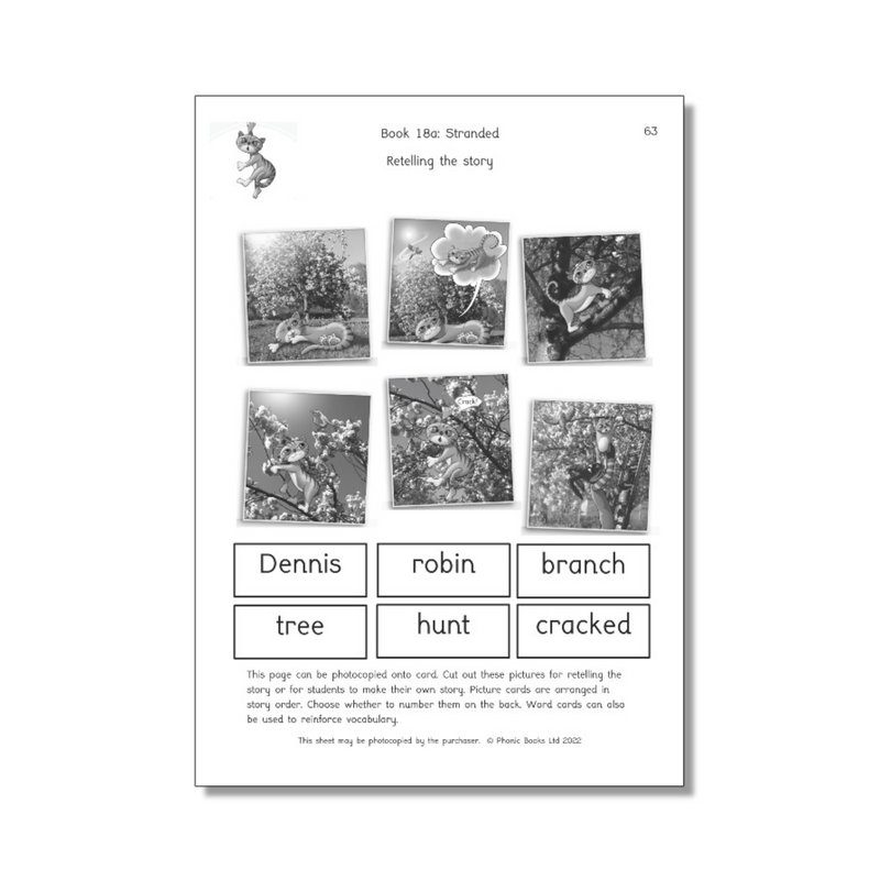 Dandelion Launchers Units 16-20 Workbook